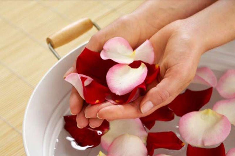 Rose Water Rose Water