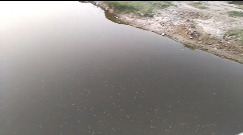  polluted water