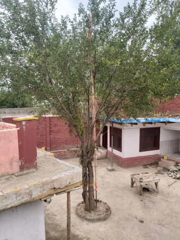 Taliban removes Sikh flag Nishan Sahib from Gurdwara Thala Sahib,