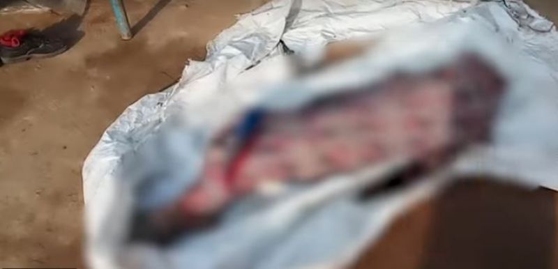 ਬੱਚੇ ਦੀ ਲਾਸ਼ 