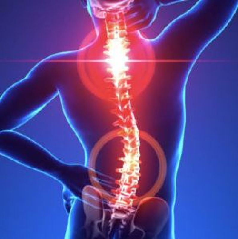 ਸਰੀਰ ਦੇ ਰੋਗ ਕਰੇ ਦੂਰ 