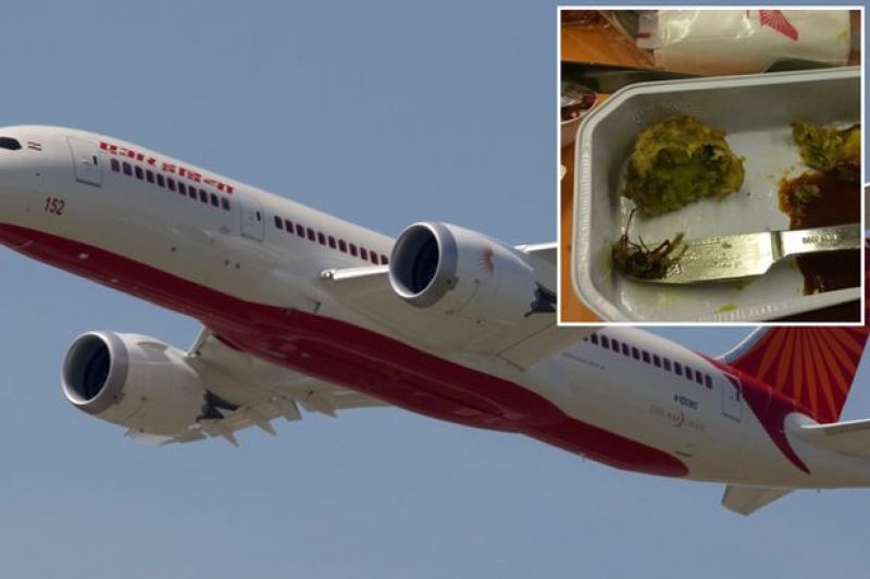 Air India Flight bad Food