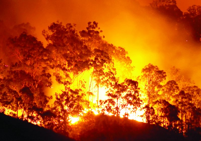Fire in australia