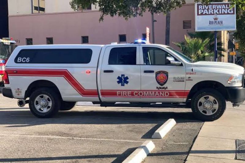 Woman living in van with more than 300 pet rats