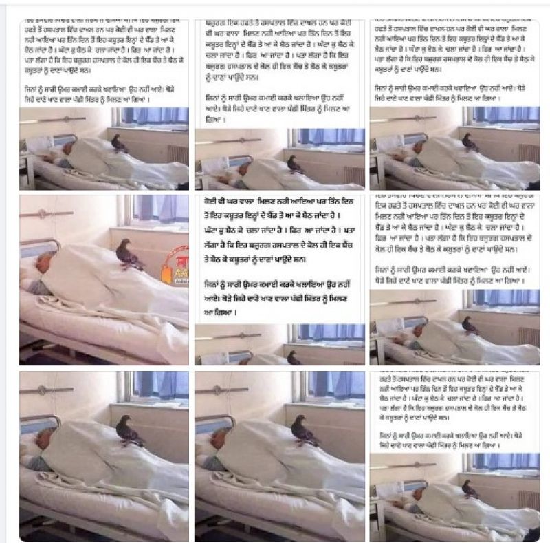 File Photo File Photo