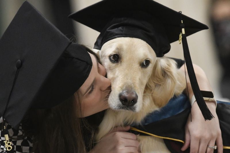 Dog gets diploma