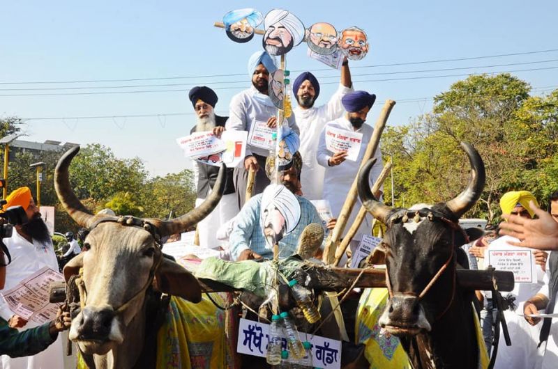 bikram singh majithia