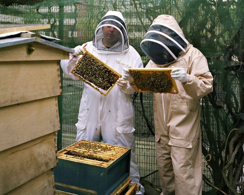 Bee keeping