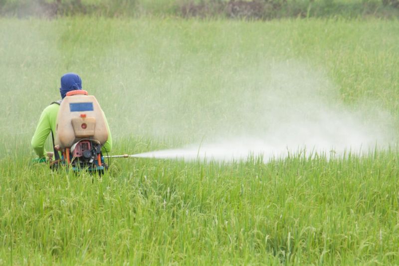 Insecticides Insecticides