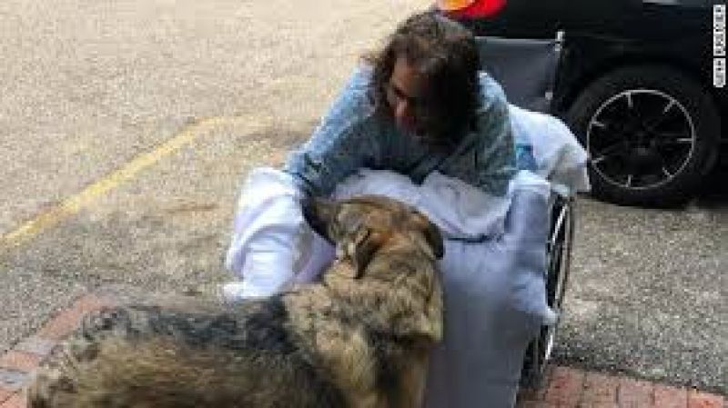Amputation dog lick ohio woman