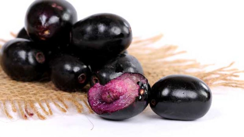 Black Plum