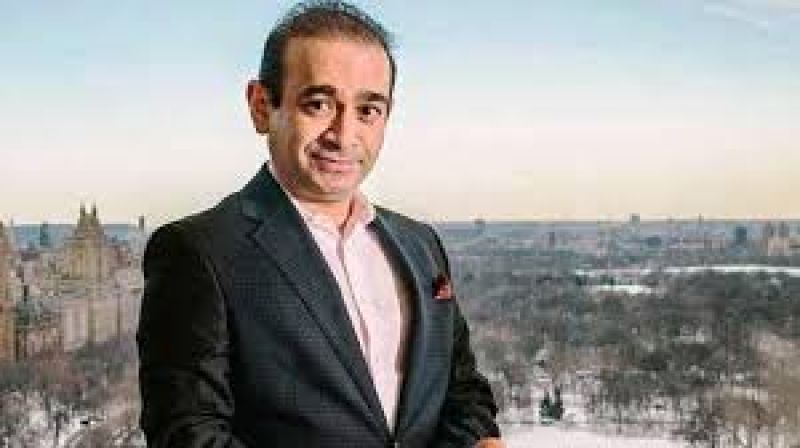nirav modi