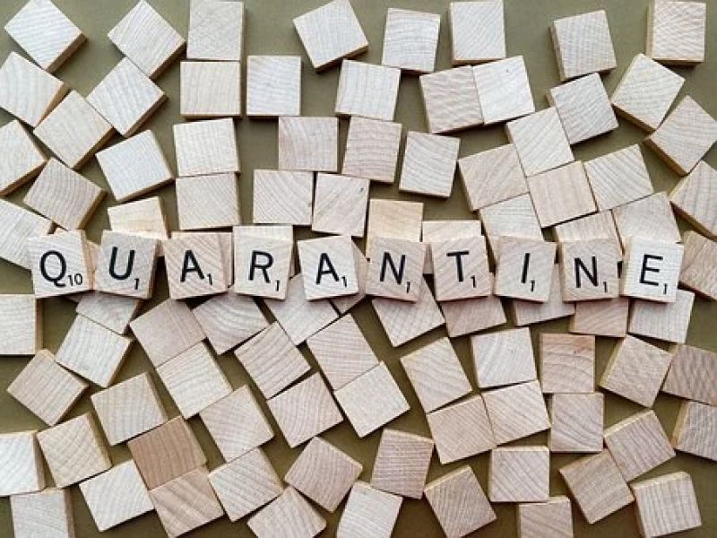 Quarntine 