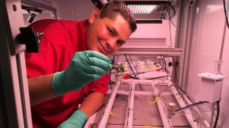 NASA PLANNING TO GROW CHILI PEPPERS ON SPACE STATION