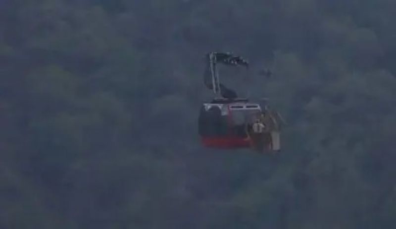 Parwanoo Timber Trail