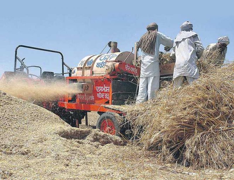 Agriculture Agriculture