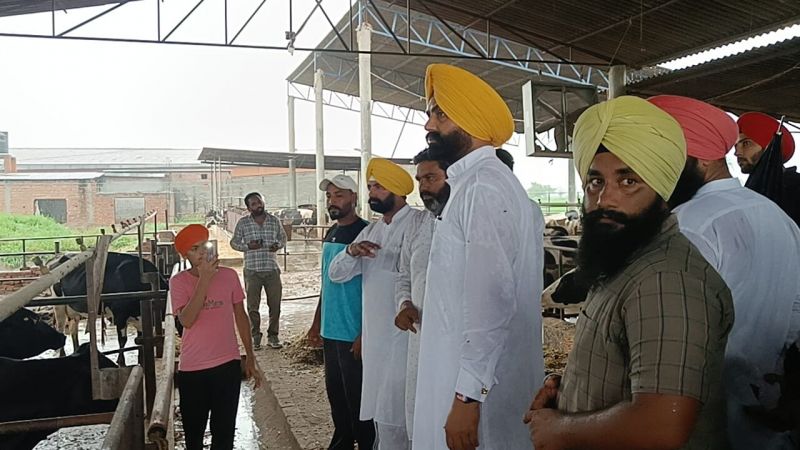  66,666 doses of Goat Pox medicine ordered to prevent lumpy skin disease: Laljit Singh Bhullar