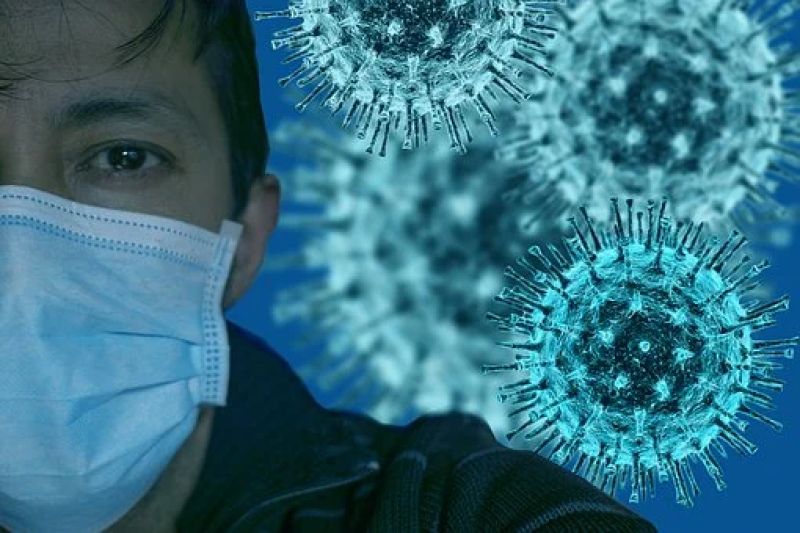 Corona Virus Corona Virus