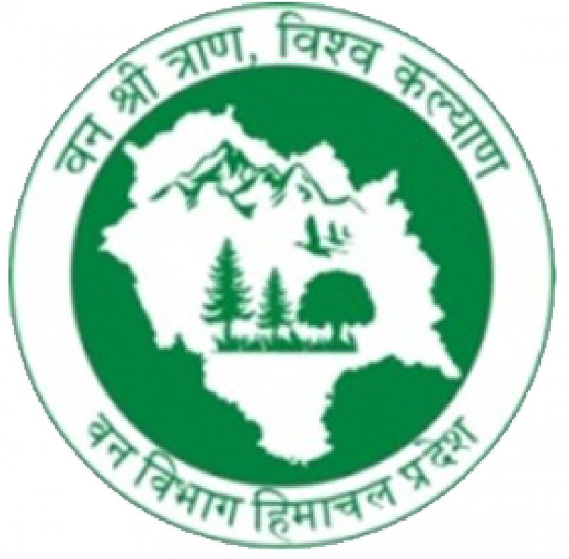 Mandi Forest Department