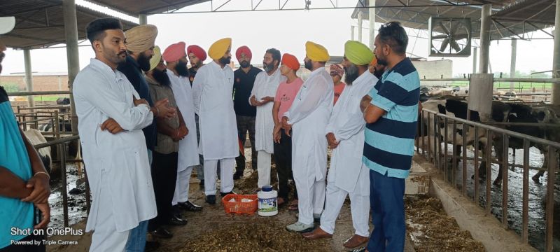  66,666 doses of Goat Pox medicine ordered to prevent lumpy skin disease: Laljit Singh Bhullar