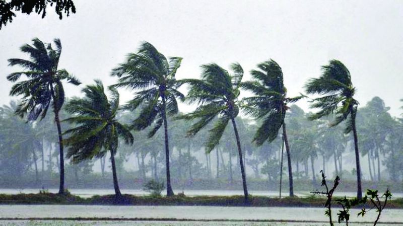 File photo File photo