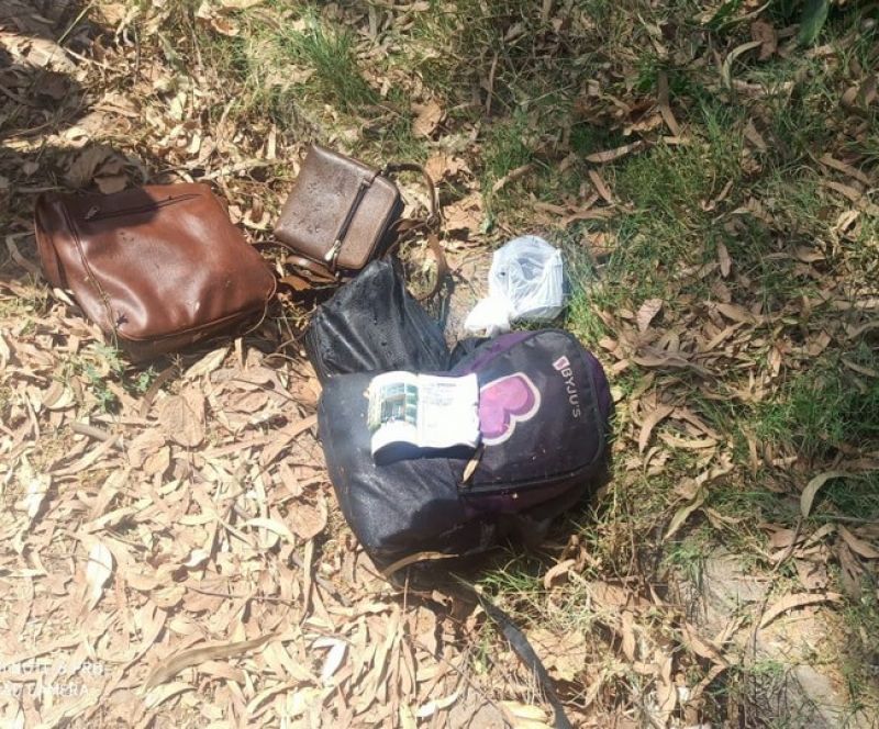 A car fell into the Bhakra canal A car fell into the Bhakra canal