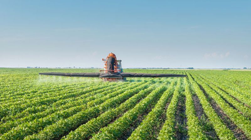 Farming with New technique