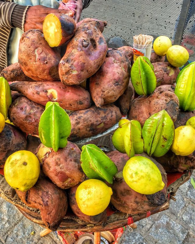 Sweet Potato Farming