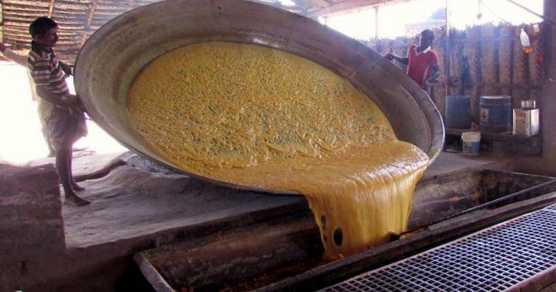jaggery making