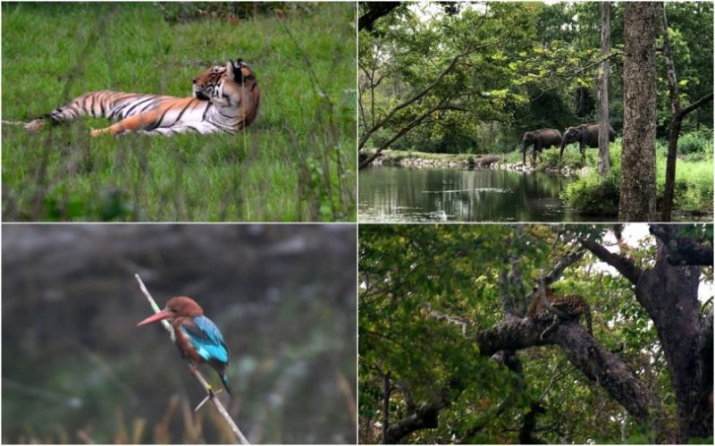 Kabini Forest Reserve