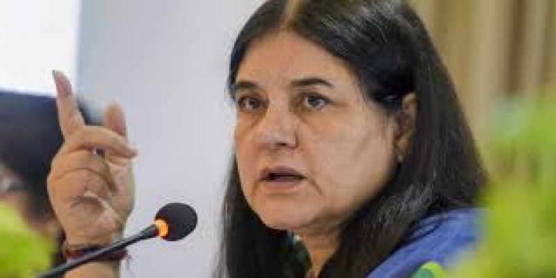 Maneka Gandhi 