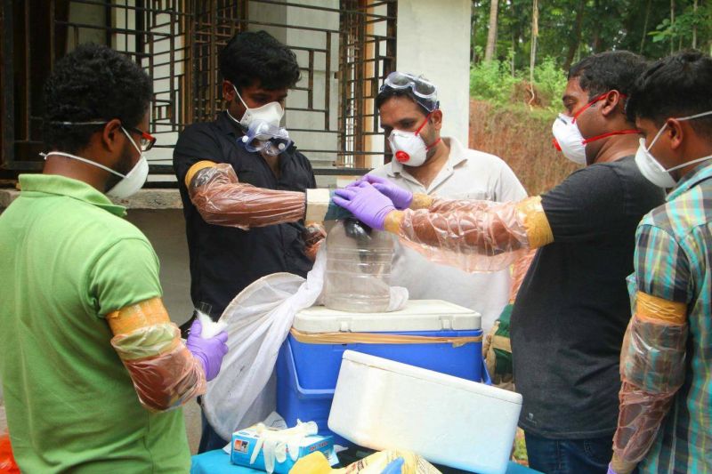 Kerala Nurse Died After Treating Nipah Patient,