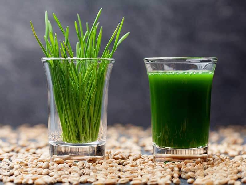Wheat juice   Wheat juice