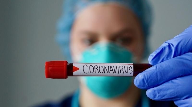 Corona Virus Corona Virus