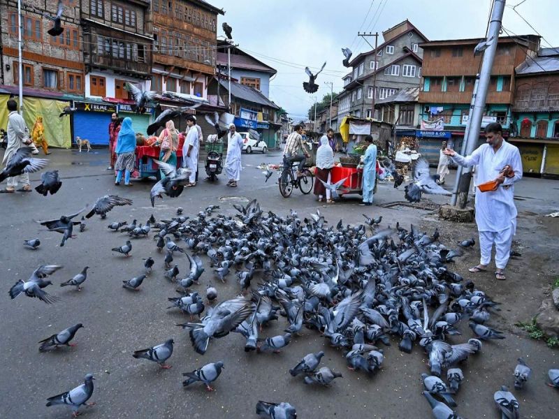 Restrictions eased in most areas of Kashmir