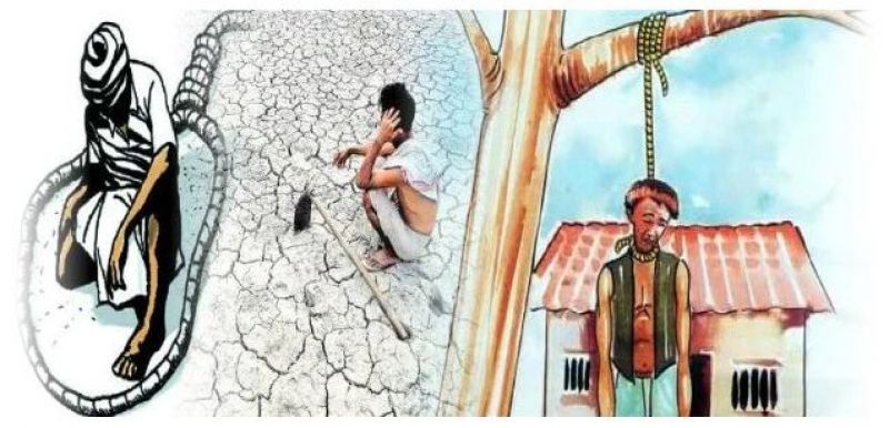 Farmers Suicide  Farmers Suicide