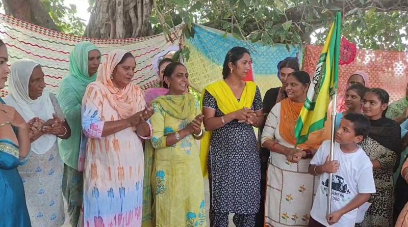 The color of the peasant movement on teej