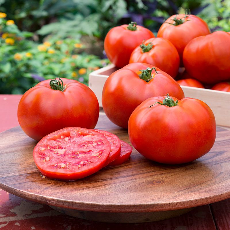 Tomato Tomato
