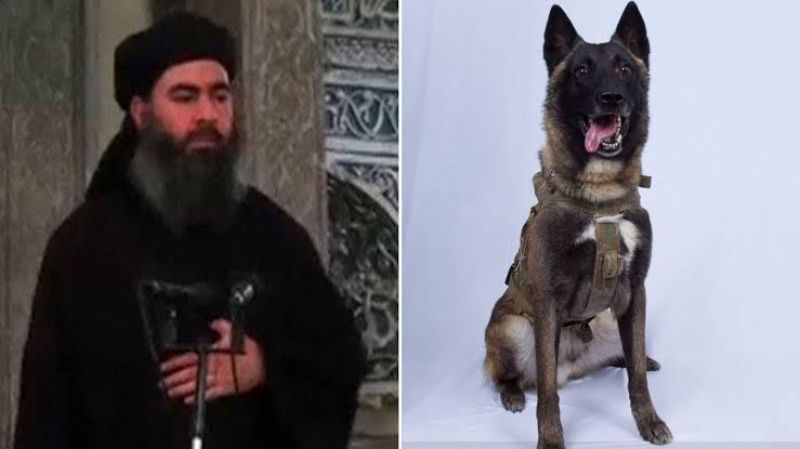Abu Bakr al-Baghdadi!