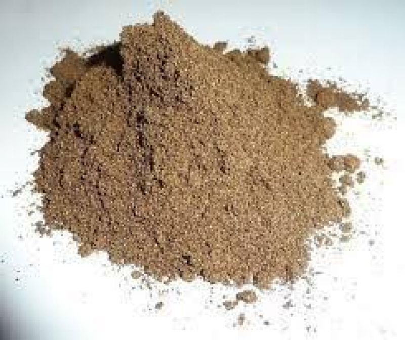 Papaya Seeds Powder