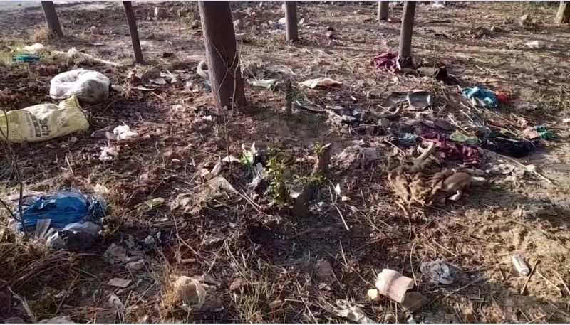 Forest department and tree keepers face to face over tree care