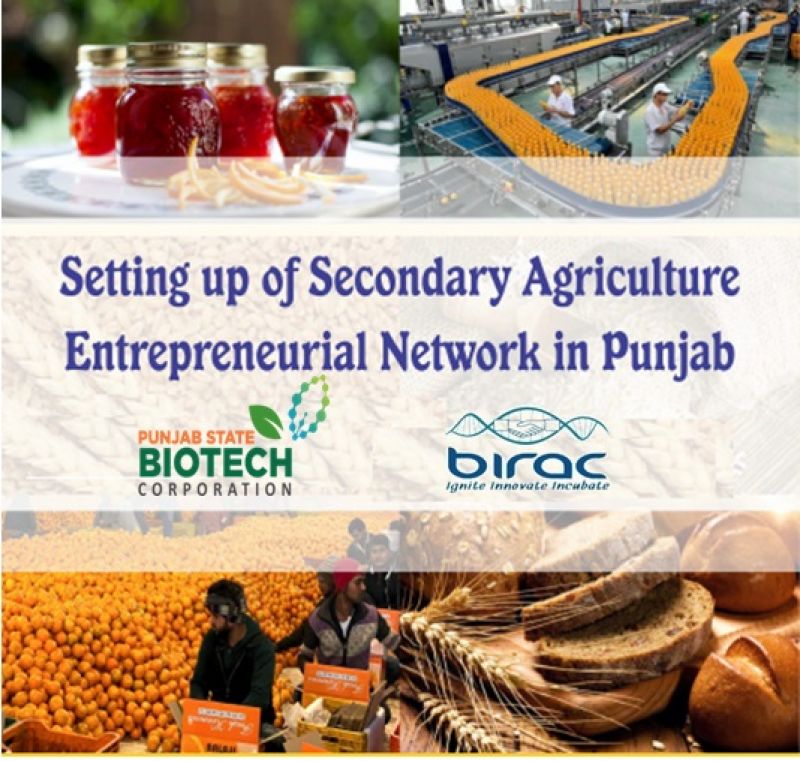 Research Institutions in Punjab get funding for Food Industry under SAEN