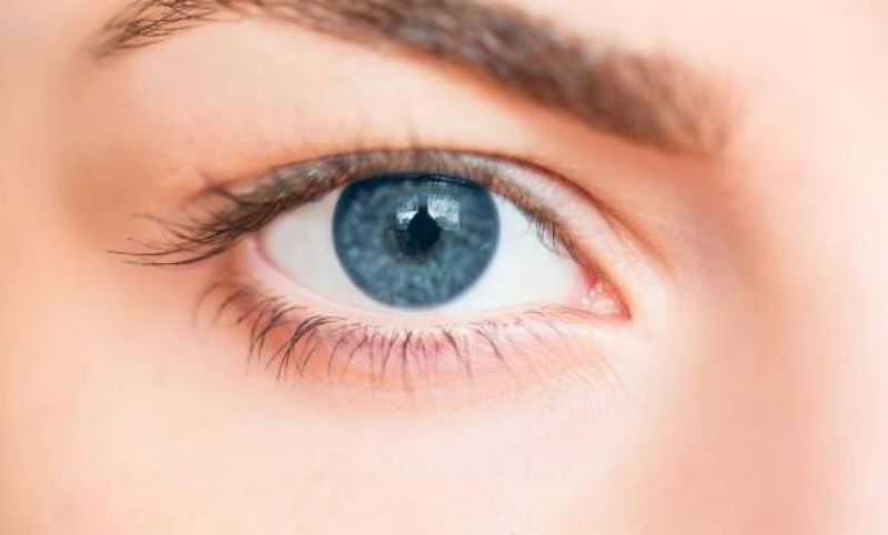 Eyes