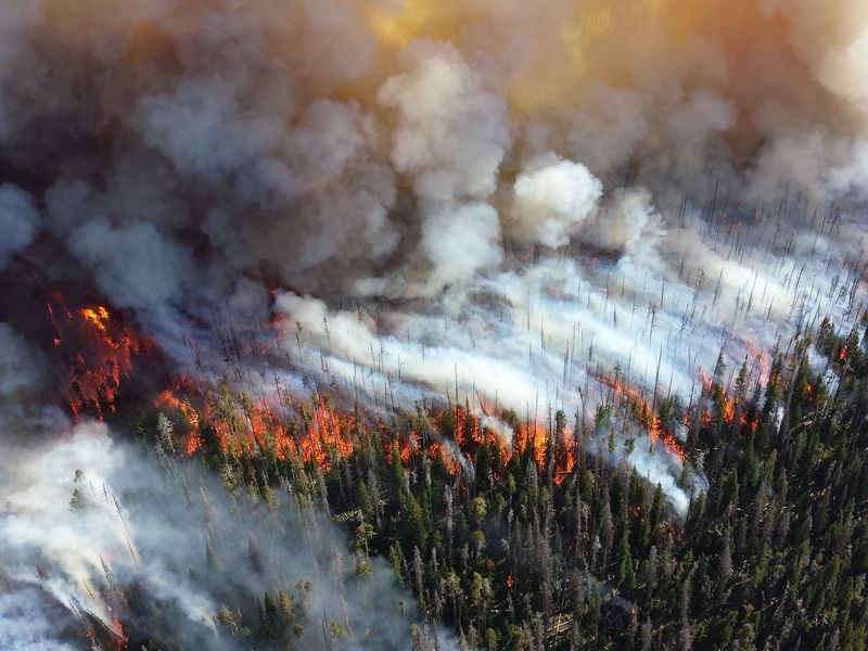 Climate Change Climate Change