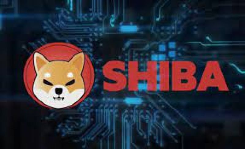 Shiba Inu Coin Shiba Inu Coin