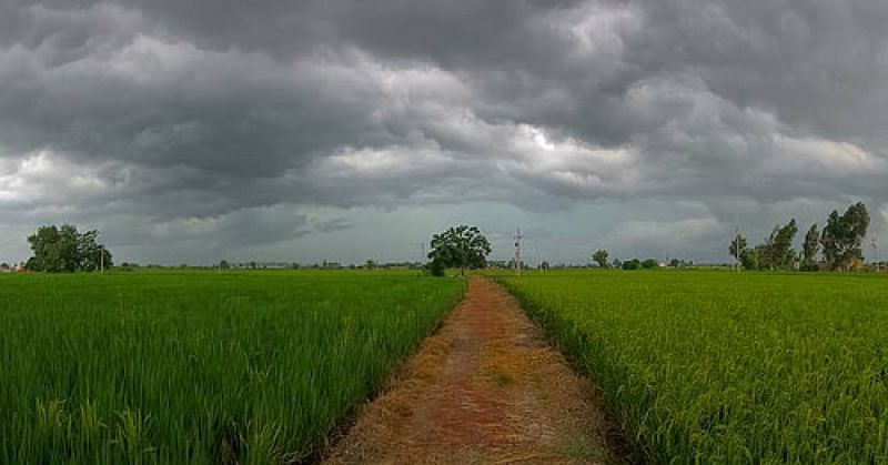 Punjab Weather
