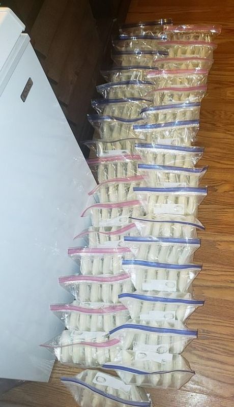 Mothers are selling their breastmilk