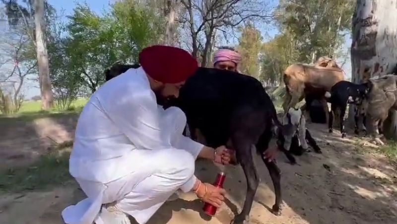 Charanjit Singh Channi