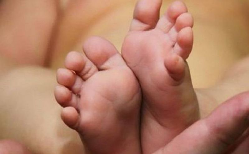 gujarat criminal attacked family