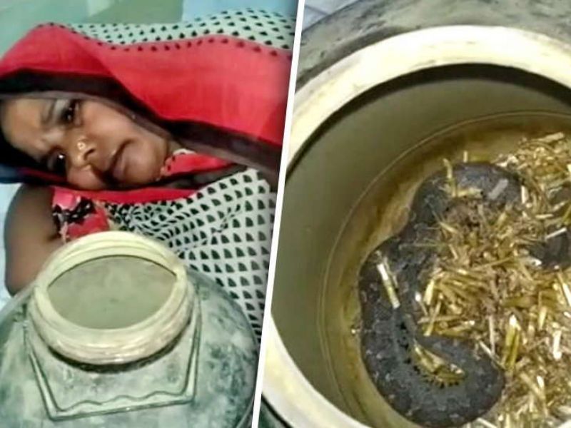 Lady bring the sanke to Hospital 